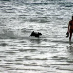 vacanze a Jesolo con un cane